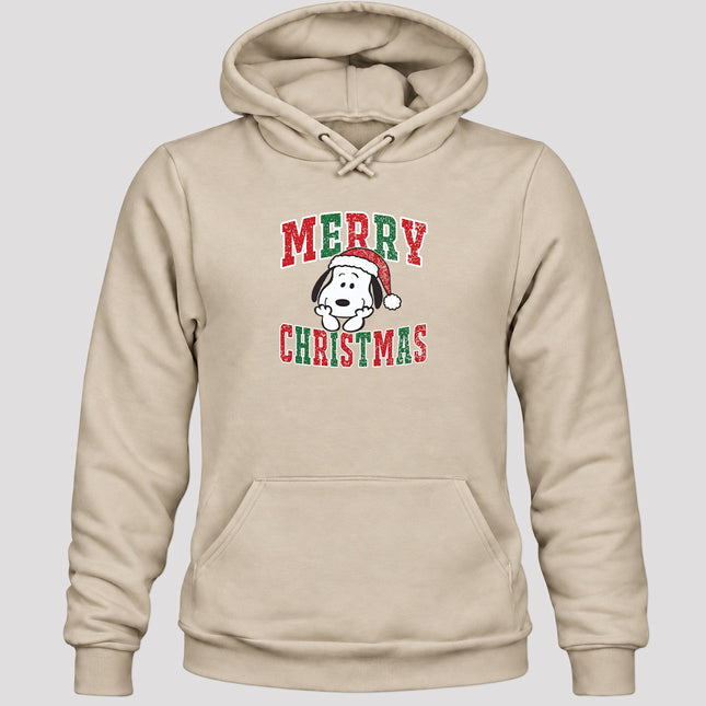 Merry Christmas Vintage Distressed Santa Hat Hoodie