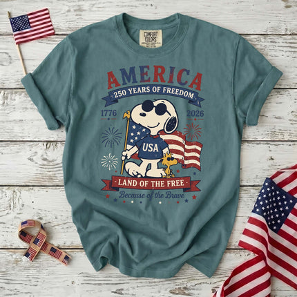 Comfort Colors 250th Anniversary USA Land Of The Free T-Shirt