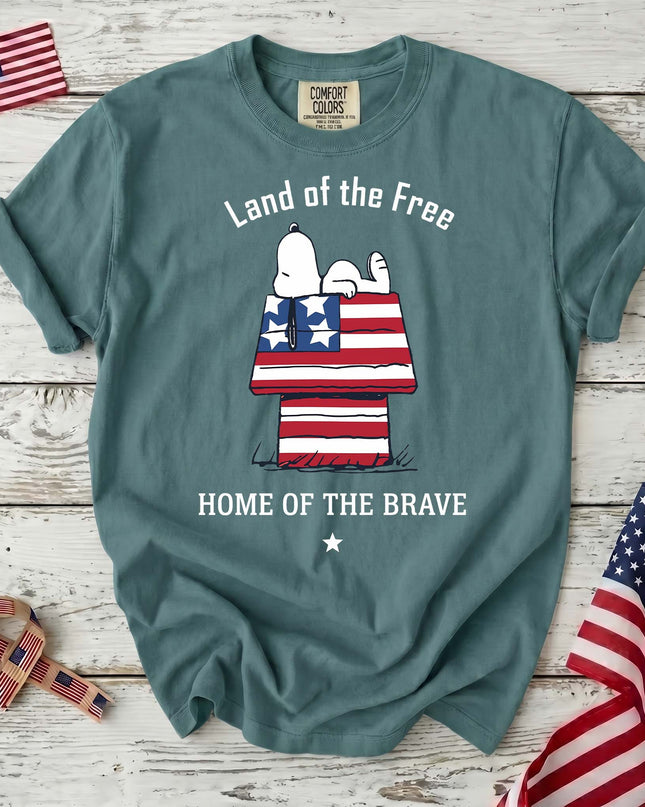 SEAFOAM_d3b34bc4-3ce0-430f-9542-243751807944 - AuraNations - Comfort Colors Land Of The Free T-Shirt - Seafoam / S - 250TH ANNIVERSARY, ALL, COMFORT COLORS, NO CUSTOM, PRODUCTS, SNPY, TSHIRT