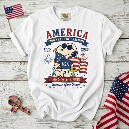 Comfort Colors 250th Anniversary USA Land Of The Free T-Shirt