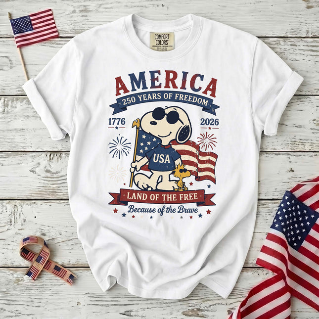 Comfort Colors 250th Anniversary USA Land Of The Free T-Shirt