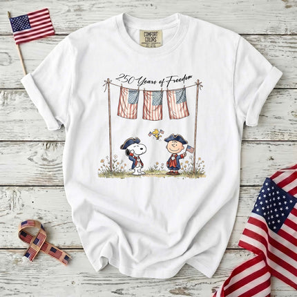 Comfort Colors 250 Years of Freedom USA Colonial Friends T-Shirt