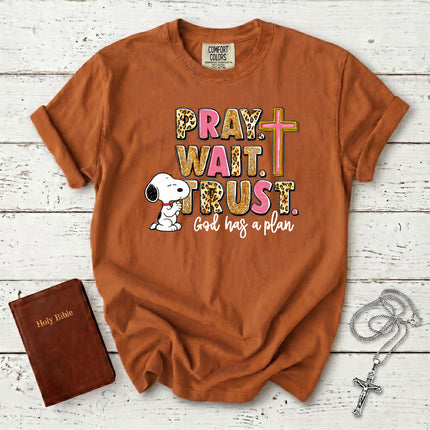 Comfort Colors Pray Wait Trust God Has a Plan Christian Cross Faith T-Shirt