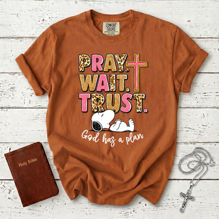 Comfort Colors Pray Wait Trust God Has a Plan Christian Faith T-Shirt