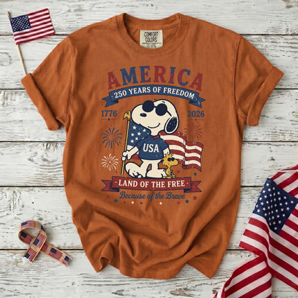 Comfort Colors 250th Anniversary USA Land Of The Free T-Shirt