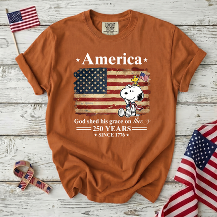 Comfort Colors 250 Years Of Freedom Liberty T-Shirt