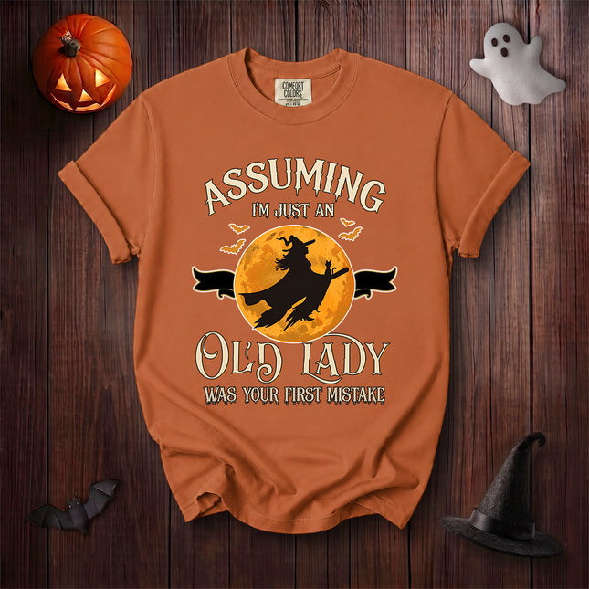 Comfort Colors Old Lady Witch Halloween Moon Silhouette Graphic T-Shirt