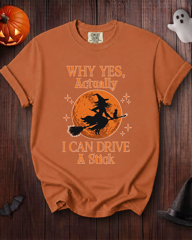 Comfort Colors Old Lady Witch Halloween Funny Broomstick Graphic T-Shirt